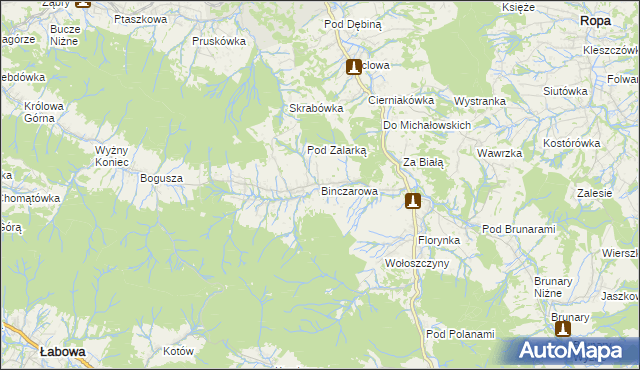 mapa Binczarowa, Binczarowa na mapie Targeo