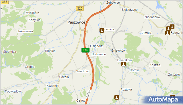 mapa Bolkowice gmina Paszowice, Bolkowice gmina Paszowice na mapie Targeo