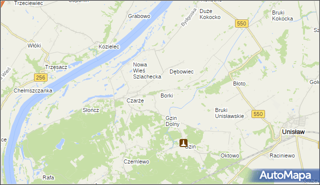 mapa Borki gmina Dąbrowa Chełmińska, Borki gmina Dąbrowa Chełmińska na mapie Targeo