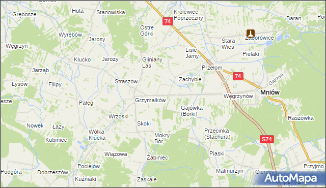 mapa Borki gmina Mniów, Borki gmina Mniów na mapie Targeo