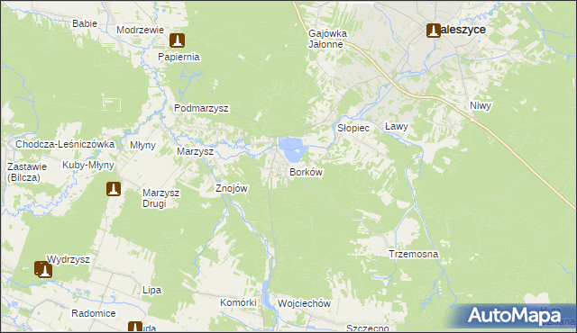 mapa Borków gmina Daleszyce, Borków gmina Daleszyce na mapie Targeo