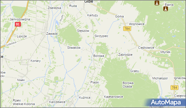 mapa Borowa gmina Gidle, Borowa gmina Gidle na mapie Targeo