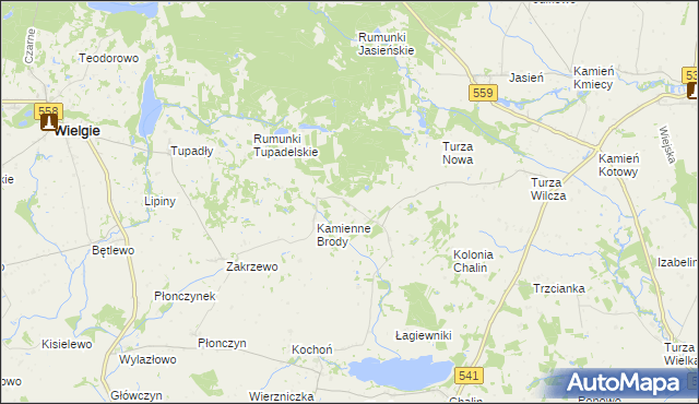 mapa Borowo gmina Tłuchowo, Borowo gmina Tłuchowo na mapie Targeo