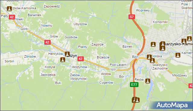 mapa Brzeście gmina Bliżyn, Brzeście gmina Bliżyn na mapie Targeo