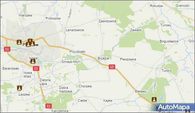 mapa Brzezie gmina Pleszew, Brzezie gmina Pleszew na mapie Targeo