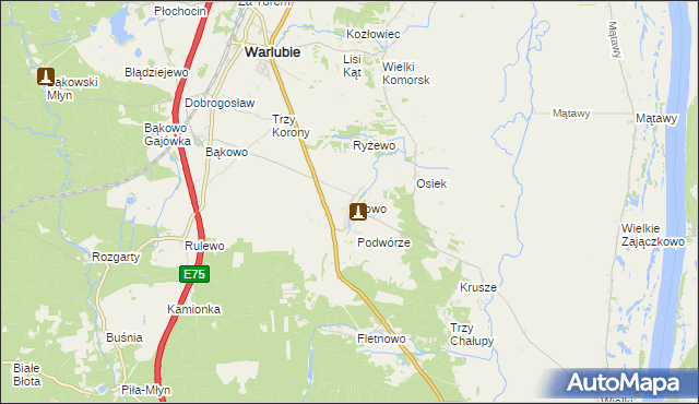 mapa Bzowo gmina Warlubie, Bzowo gmina Warlubie na mapie Targeo