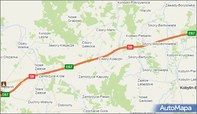 mapa Cibory-Kołaczki, Cibory-Kołaczki na mapie Targeo