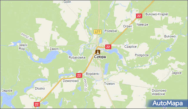 mapa Człopa, Człopa na mapie Targeo