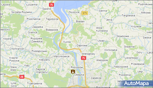 mapa Dąbrowa gmina Chełmiec, Dąbrowa gmina Chełmiec na mapie Targeo