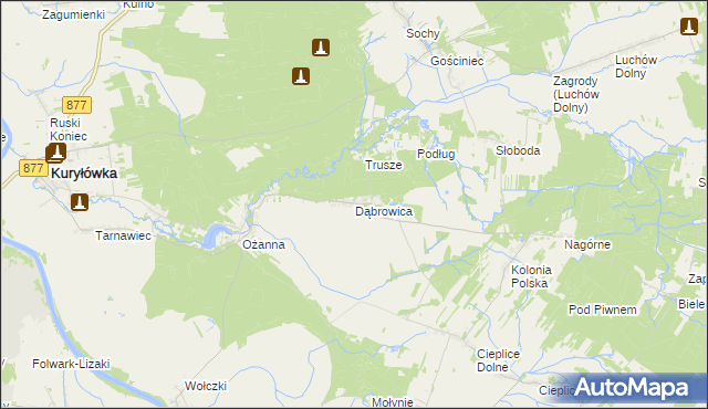 mapa Dąbrowica gmina Kuryłówka, Dąbrowica gmina Kuryłówka na mapie Targeo