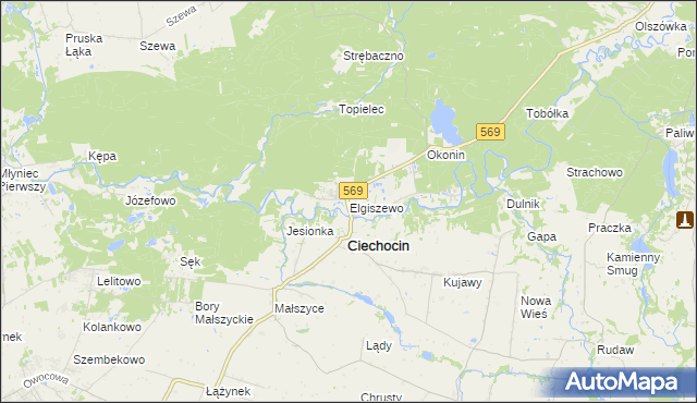 mapa Elgiszewo, Elgiszewo na mapie Targeo