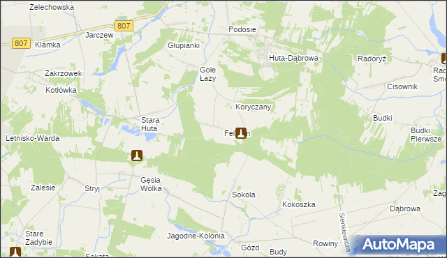 mapa Feliksin gmina Krzywda, Feliksin gmina Krzywda na mapie Targeo