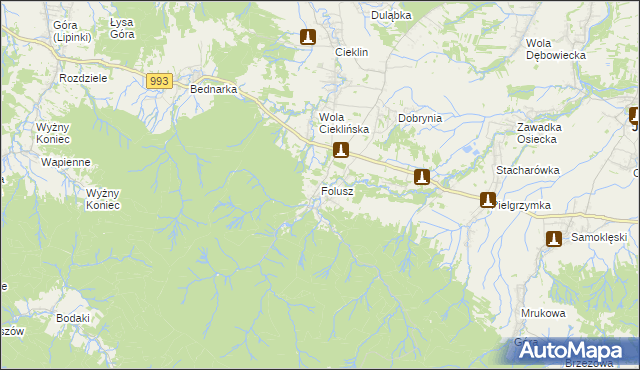 mapa Folusz gmina Dębowiec, Folusz gmina Dębowiec na mapie Targeo