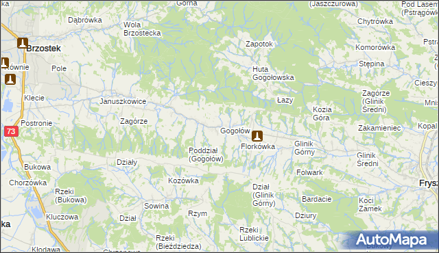 mapa Gogołów gmina Frysztak, Gogołów gmina Frysztak na mapie Targeo