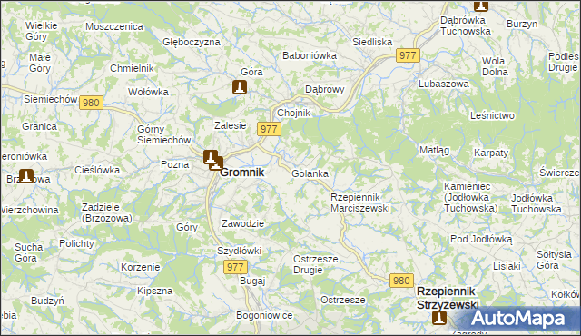 mapa Golanka gmina Gromnik, Golanka gmina Gromnik na mapie Targeo