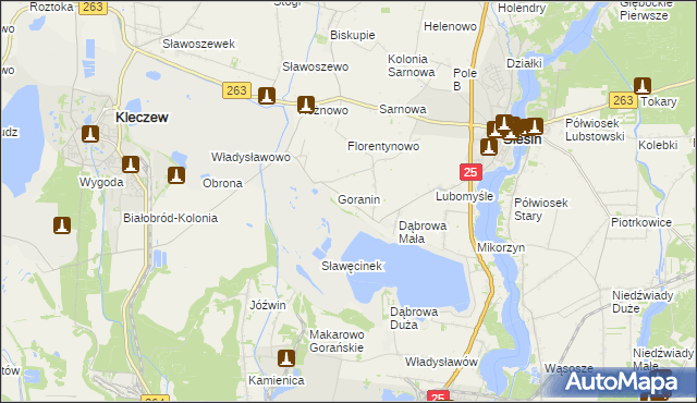 mapa Goraninek gmina Ślesin, Goraninek gmina Ślesin na mapie Targeo