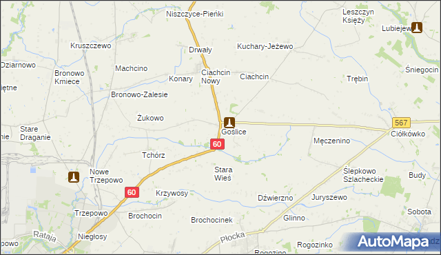 mapa Goślice, Goślice na mapie Targeo