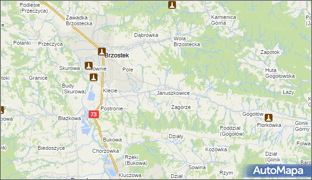 mapa Januszkowice gmina Brzostek, Januszkowice gmina Brzostek na mapie Targeo
