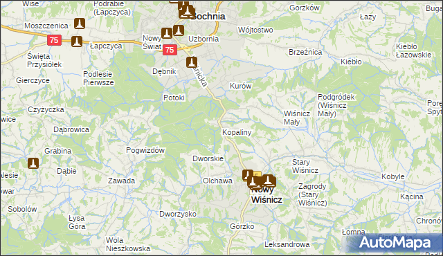 mapa Kopaliny gmina Nowy Wiśnicz, Kopaliny gmina Nowy Wiśnicz na mapie Targeo