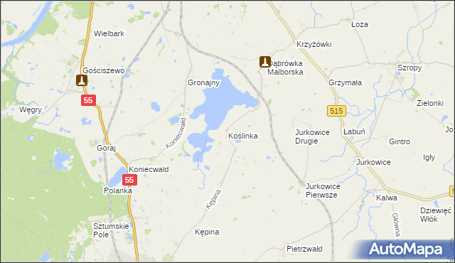 mapa Koślinka gmina Sztum, Koślinka gmina Sztum na mapie Targeo