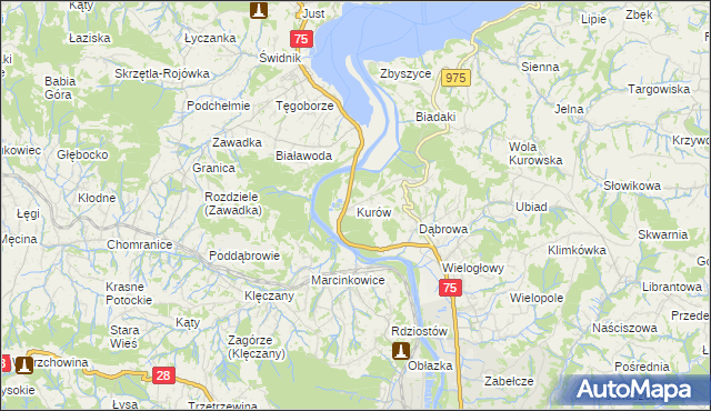 mapa Kurów gmina Chełmiec, Kurów gmina Chełmiec na mapie Targeo