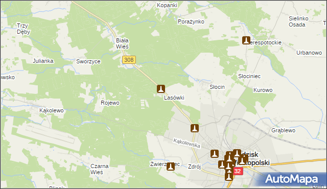 mapa Lasówki gmina Grodzisk Wielkopolski, Lasówki gmina Grodzisk Wielkopolski na mapie Targeo