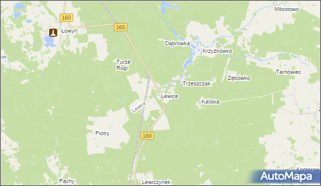 mapa Lewice gmina Międzychód, Lewice gmina Międzychód na mapie Targeo