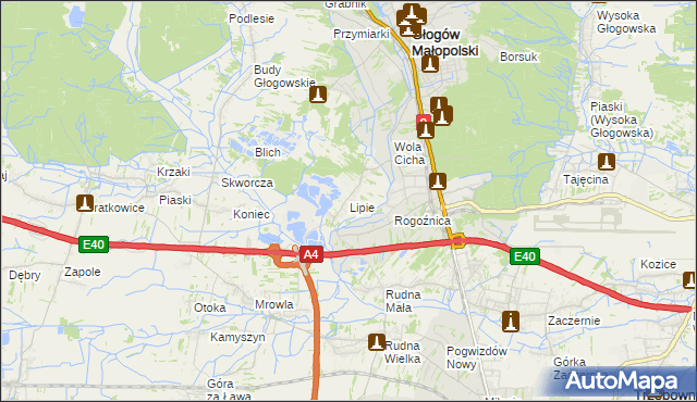 mapa Lipie gmina Głogów Małopolski, Lipie gmina Głogów Małopolski na mapie Targeo