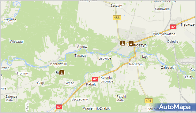 mapa Lisowice gmina Działoszyn, Lisowice gmina Działoszyn na mapie Targeo