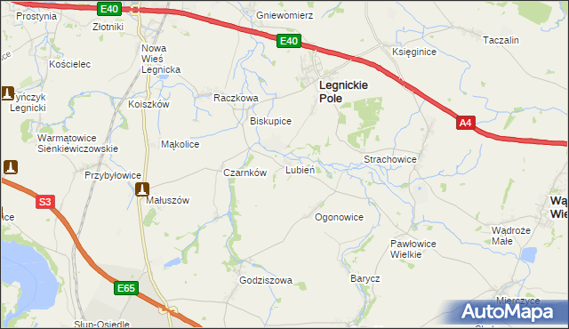 mapa Lubień gmina Legnickie Pole, Lubień gmina Legnickie Pole na mapie Targeo