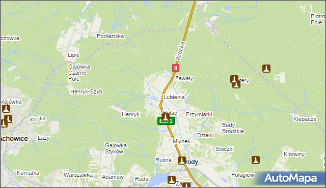 mapa Lubienia gmina Brody, Lubienia gmina Brody na mapie Targeo