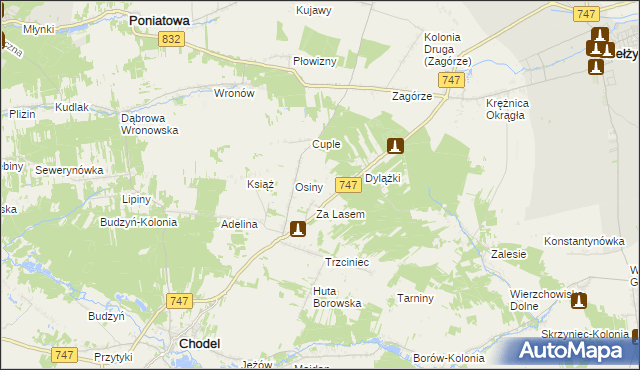 mapa Malinowszczyzna gmina Bełżyce, Malinowszczyzna gmina Bełżyce na mapie Targeo