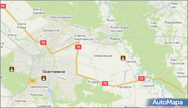 mapa Miedniewice gmina Skierniewice, Miedniewice gmina Skierniewice na mapie Targeo