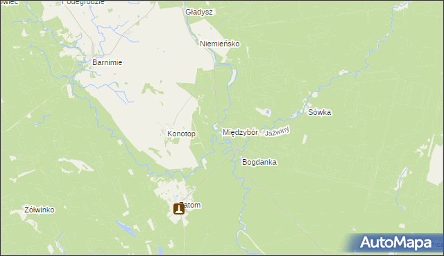 mapa Międzybór, Międzybór na mapie Targeo