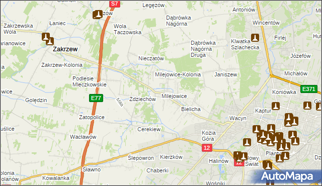 mapa Milejowice gmina Zakrzew, Milejowice gmina Zakrzew na mapie Targeo