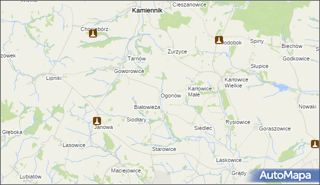 mapa Ogonów gmina Kamiennik, Ogonów gmina Kamiennik na mapie Targeo