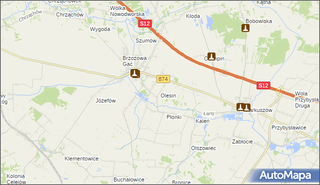 mapa Olesin gmina Kurów, Olesin gmina Kurów na mapie Targeo