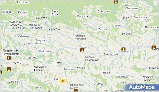 mapa Olszyny gmina Rzepiennik Strzyżewski, Olszyny gmina Rzepiennik Strzyżewski na mapie Targeo