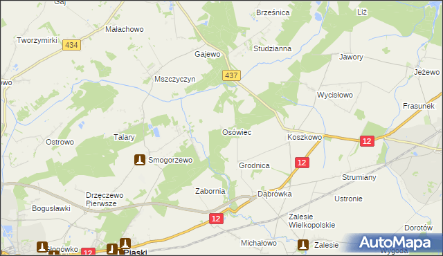 mapa Osówiec gmina Borek Wielkopolski, Osówiec gmina Borek Wielkopolski na mapie Targeo