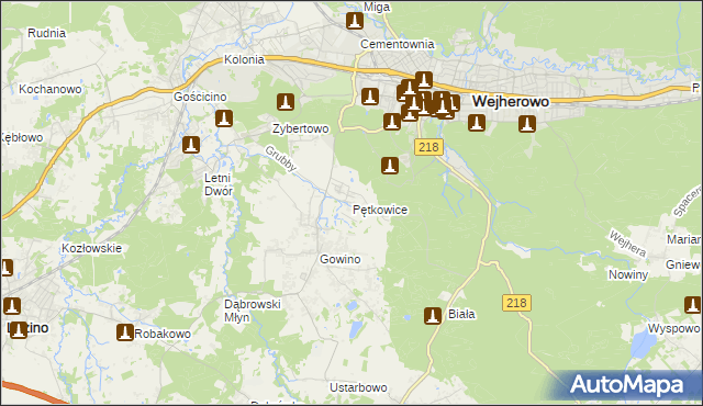 mapa Pętkowice gmina Wejherowo, Pętkowice gmina Wejherowo na mapie Targeo