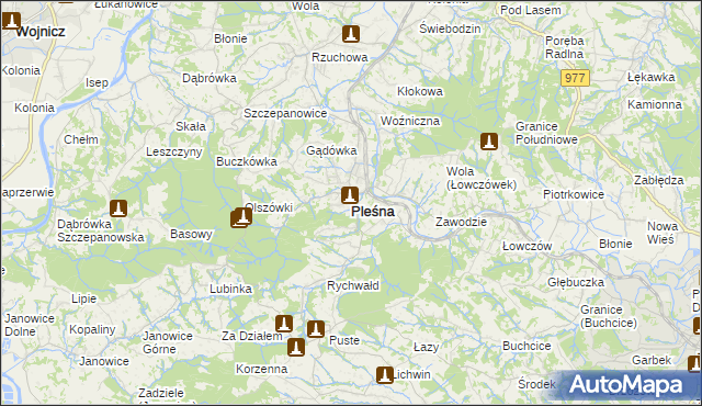 mapa Pleśna powiat tarnowski, Pleśna powiat tarnowski na mapie Targeo