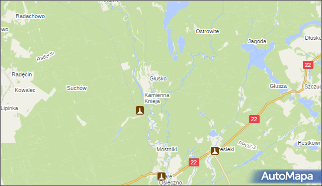 mapa Podszkle gmina Dobiegniew, Podszkle gmina Dobiegniew na mapie Targeo