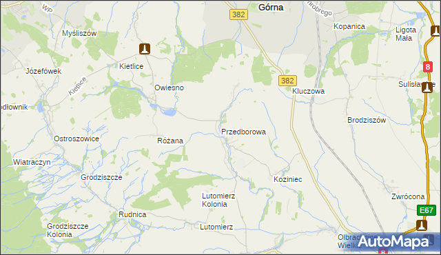 mapa Przedborowa, Przedborowa na mapie Targeo