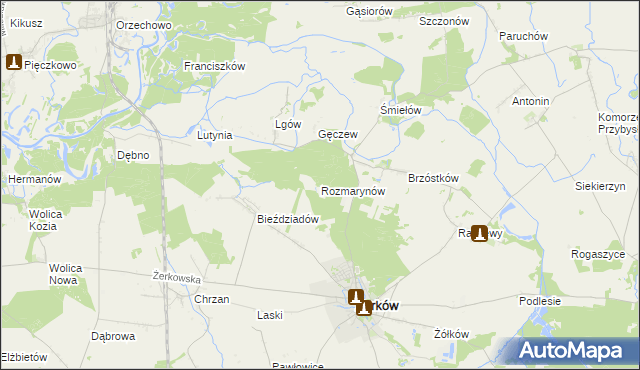 mapa Rozmarynów, Rozmarynów na mapie Targeo