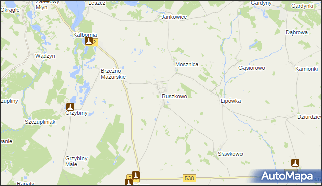 mapa Ruszkowo gmina Działdowo, Ruszkowo gmina Działdowo na mapie Targeo