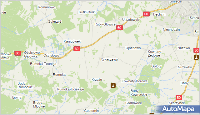 mapa Rykaczewo gmina Ciechanów, Rykaczewo gmina Ciechanów na mapie Targeo