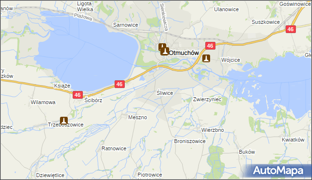 mapa Śliwice gmina Otmuchów, Śliwice gmina Otmuchów na mapie Targeo