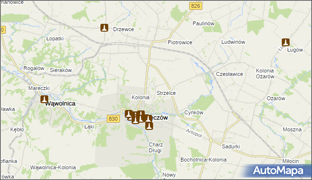 mapa Strzelce gmina Nałęczów, Strzelce gmina Nałęczów na mapie Targeo