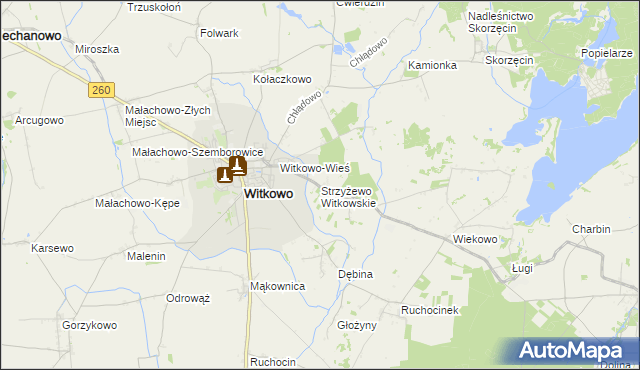 mapa Strzyżewo Witkowskie, Strzyżewo Witkowskie na mapie Targeo