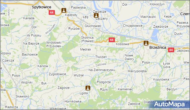 mapa Tłuczań, Tłuczań na mapie Targeo